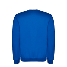 Cargar imagen en el visor de la galería, Entrenamenduko jertsea
